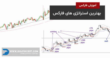 دوره آموزش مقدماتی کریپتوکارنسی